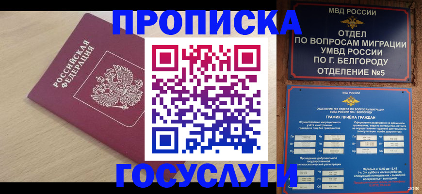 прописка законно в Пущино